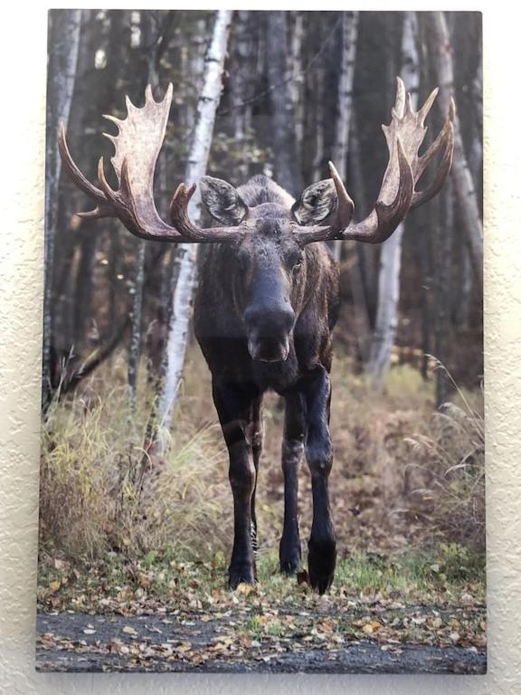 アンカレッジThe Moose Crossingアパートメント エクステリア 写真